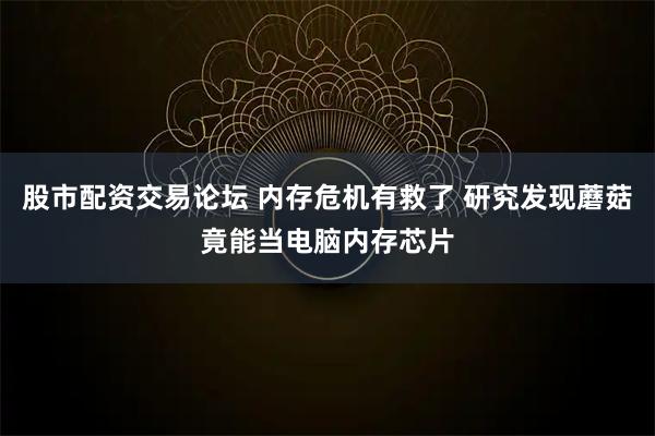 股市配资交易论坛 内存危机有救了 研究发现蘑菇竟能当电脑内存芯片